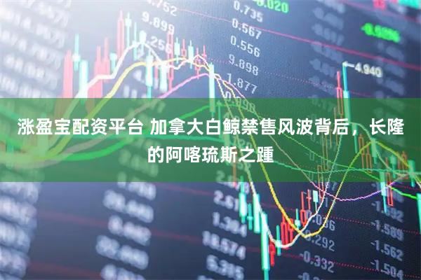 涨盈宝配资平台 加拿大白鲸禁售风波背后，长隆的阿喀琉斯之踵